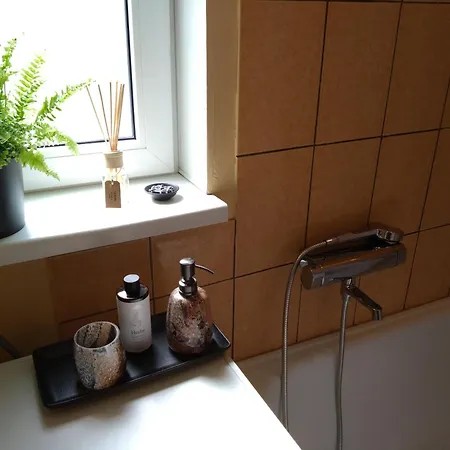 Viktorijas Darzs Apartment *