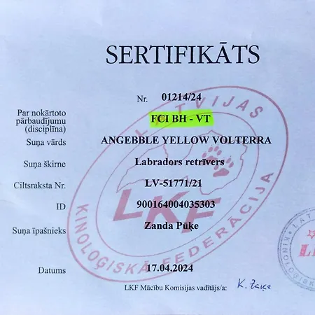Viktorijas Darzs *